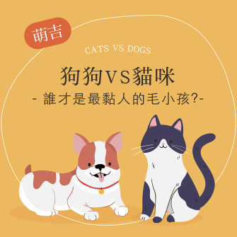 萌吉寵物-貓貓狗狗誰最黏人