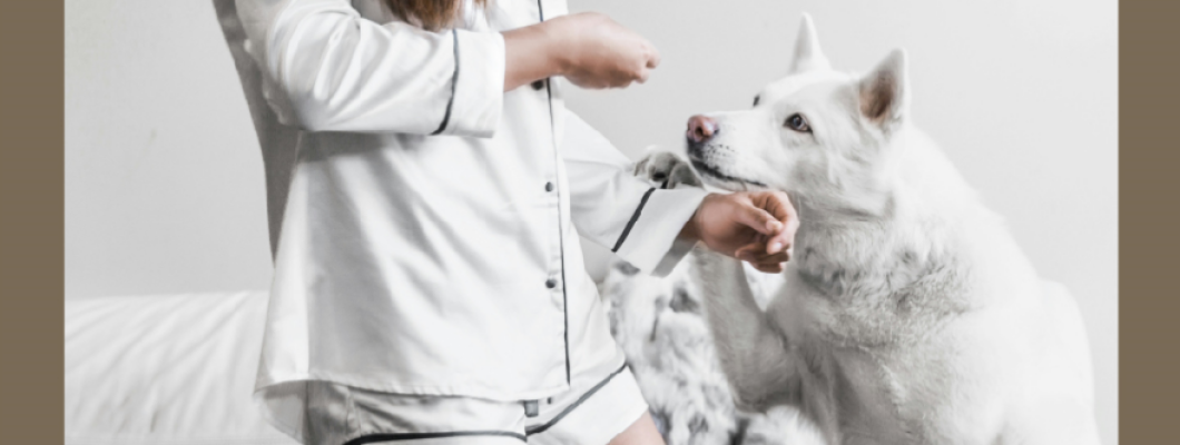 如何正確使用犬貓益生菌