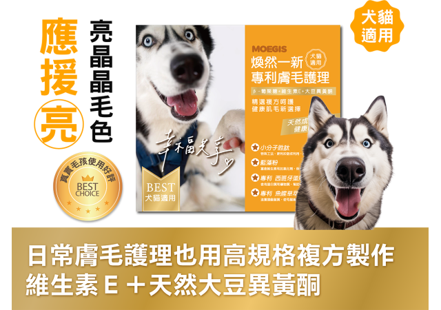 應援《亮》