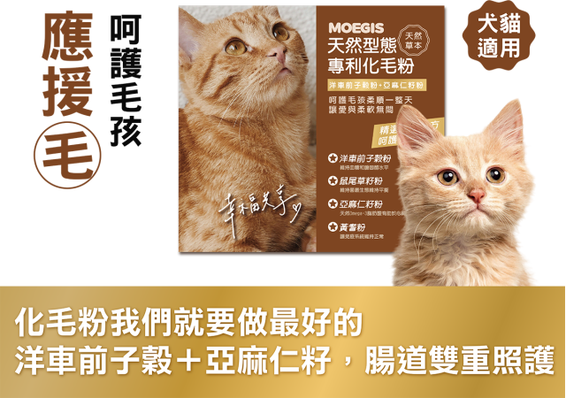 應援《毛》